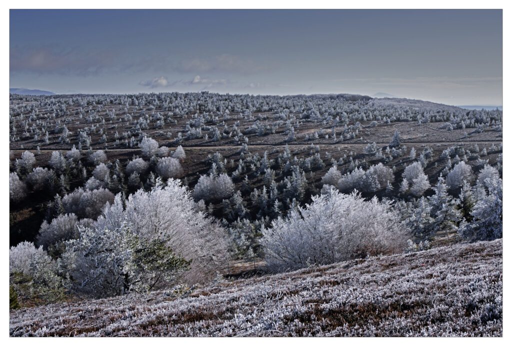 CHEMIN-DE-FROID