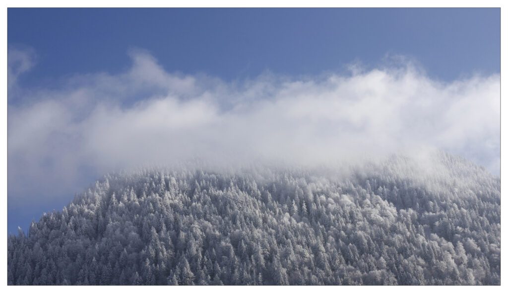 PINS-DE-GLACE