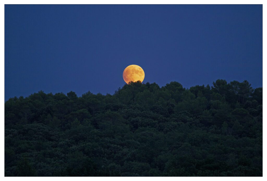 PORTE-LUNE